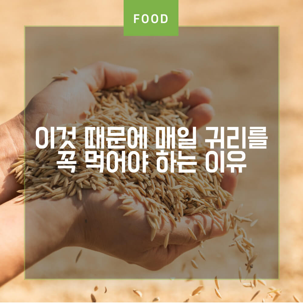  건강과 피부에 좋은 귀리 효능과 귀리 밥짓기, 귀리 우유 만드는 팁