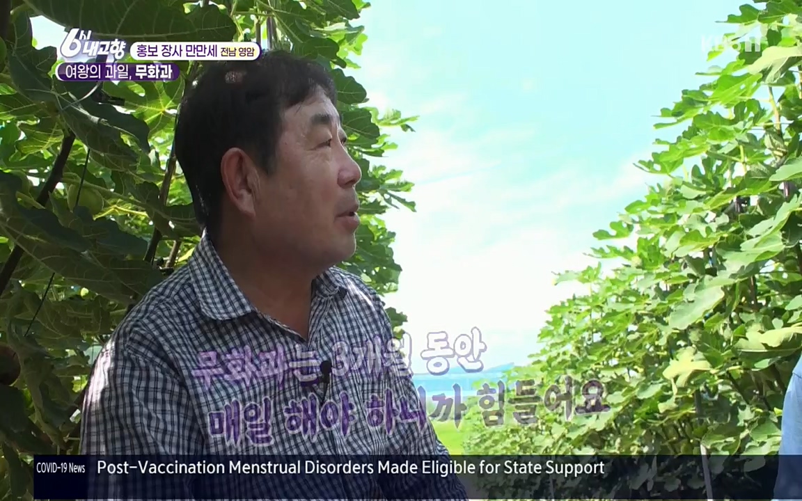 6시 내고향.E7602.220824p.H264-F1RST.mp4_20220825_171315.929.jpg