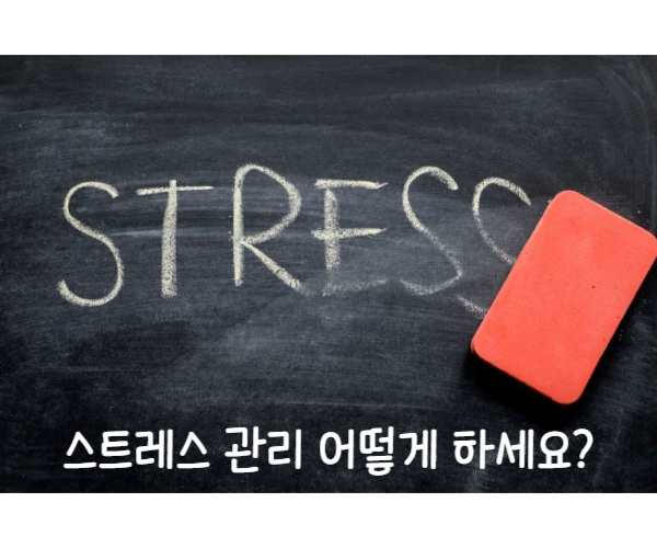  아슈와간다 홍경천 테아닌 효능과 미국영양제소개