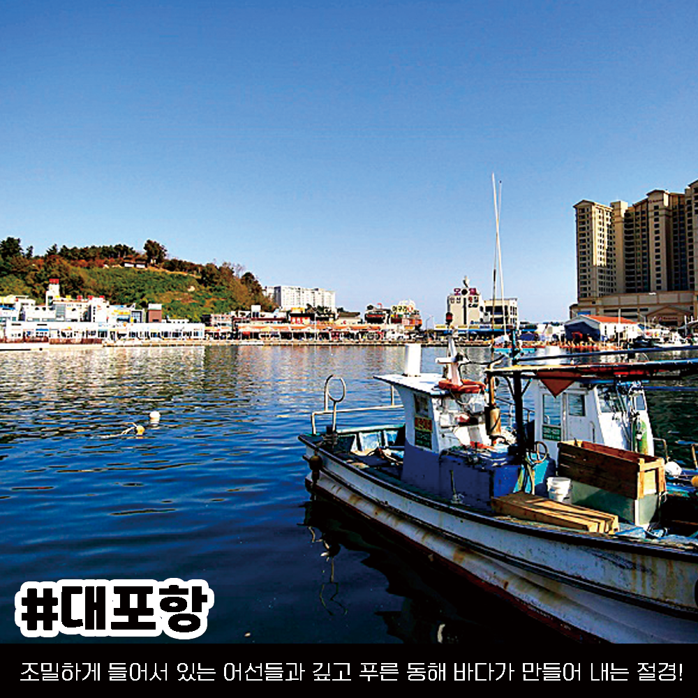 속초 가볼만한 곳, 속초여행 코스 정리 (+위치 핫플 가격)