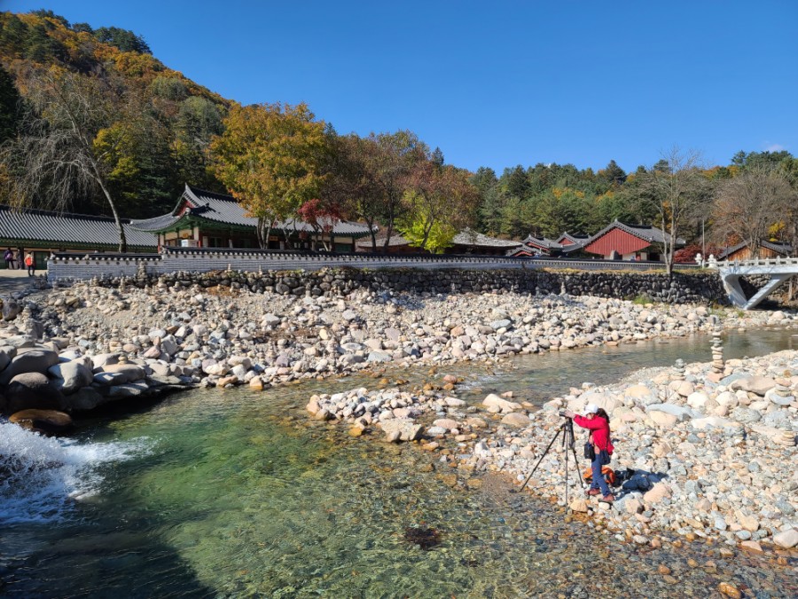 백담사 단풍 멋지다 ( 셔틀버스안내 ) 강원도 인제 여행 / 설악산 25