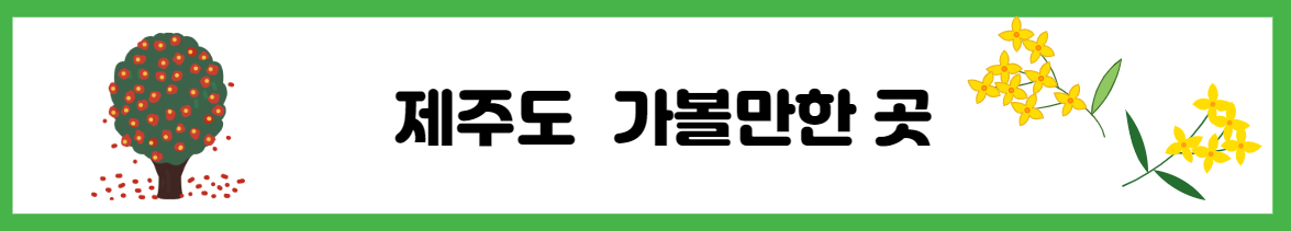 제주여행 제주 고기국수 맛집 &lt; 꽁순이네&gt;