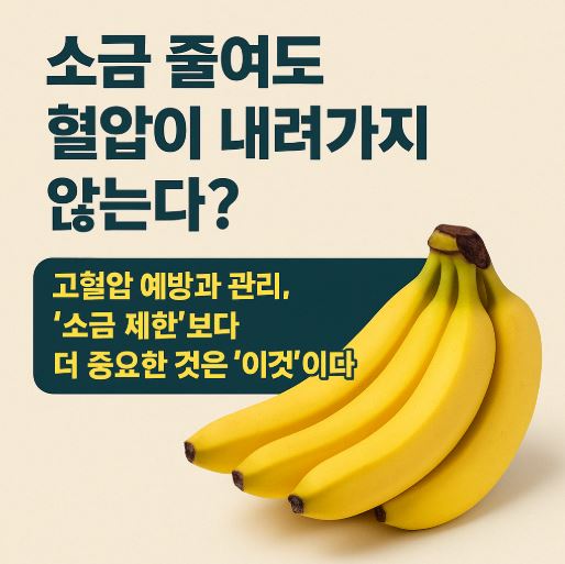 고혈압 예방관리 바나나효능 관련 사진