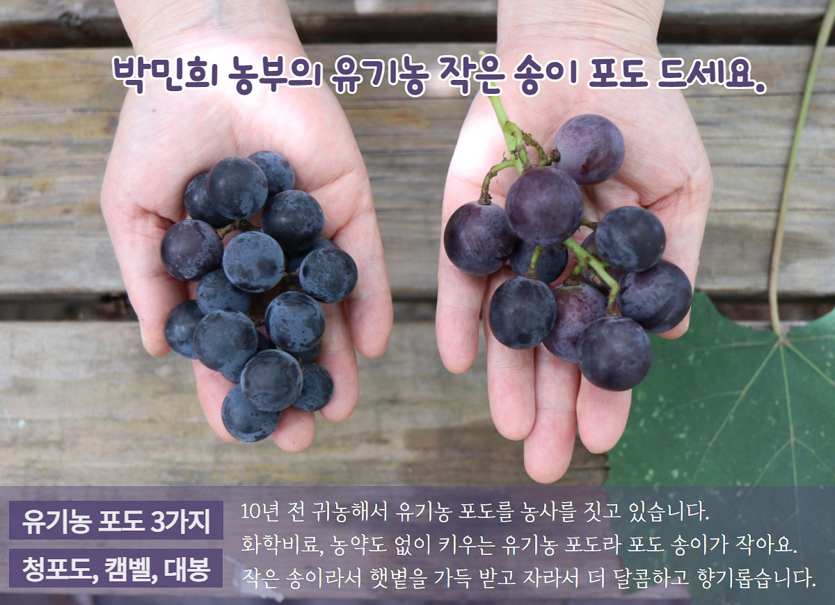 유기농농부 이미지
