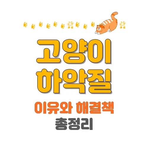 고양이 하악질 썸네일