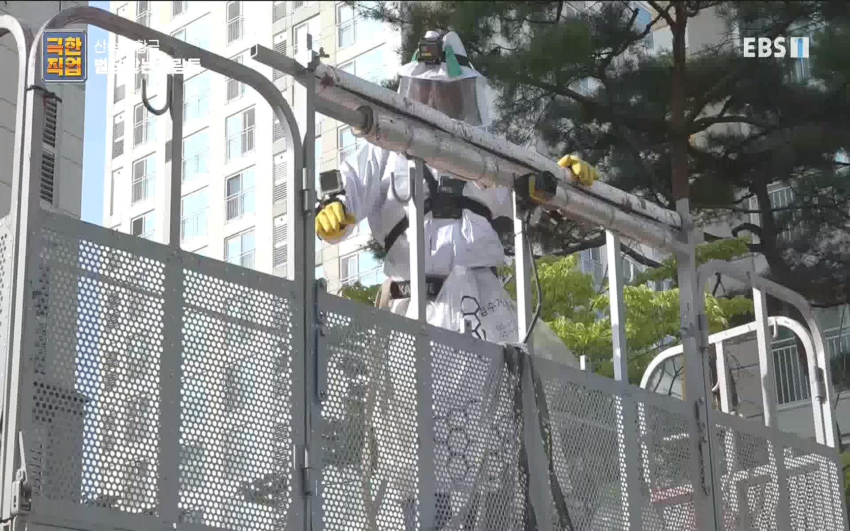 벌집 찾는 사람들.mp4_20221006_212401.409.jpg