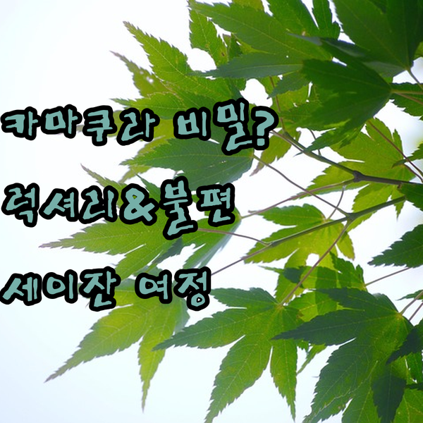 카마쿠라 세이잔의 비밀? 럭셔리와 불