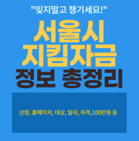 서울시 소상공인 지킴자금 100만원