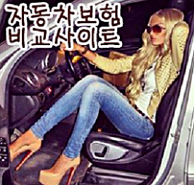  다이렉트자동차보험이벤트 자동차보험가입시유의사항 자동차보험가입사은품 팡팡!!