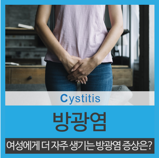  방광염증상과  원인을  알아보자 재발률  높다