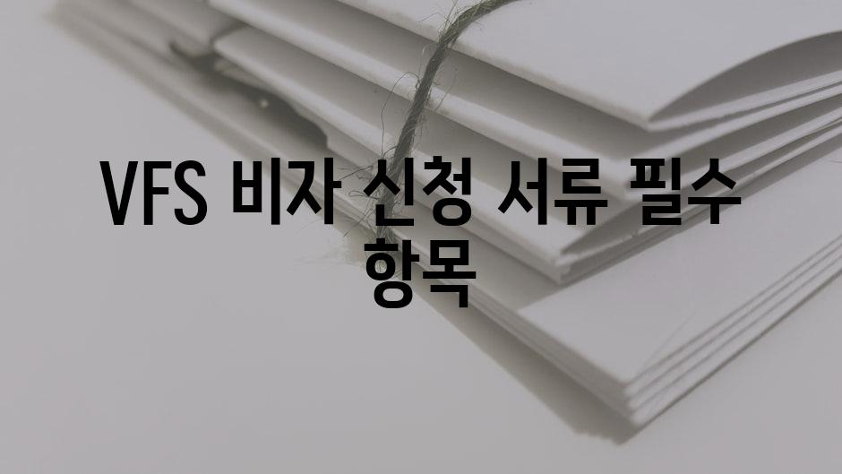 VFS 비자 신청 서류 필수 항목