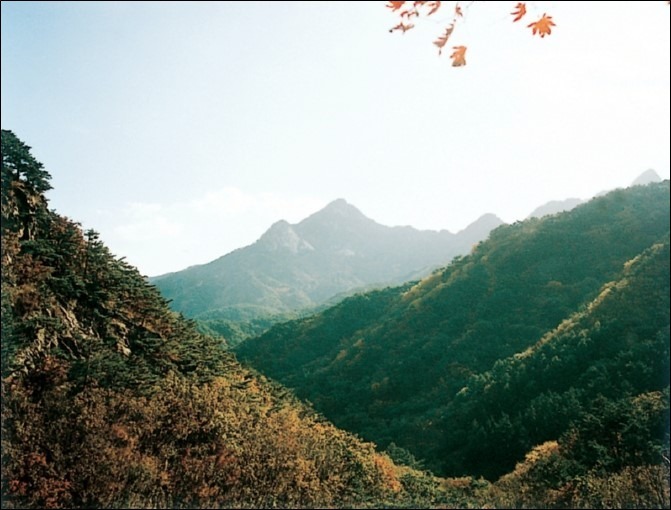 구월산 이미지