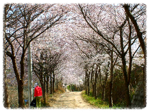 비봉산