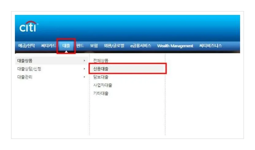 씨티은행 새희망홀씨