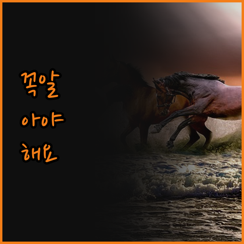 짐바웨 게스트 로지에서의 감동적인 숙