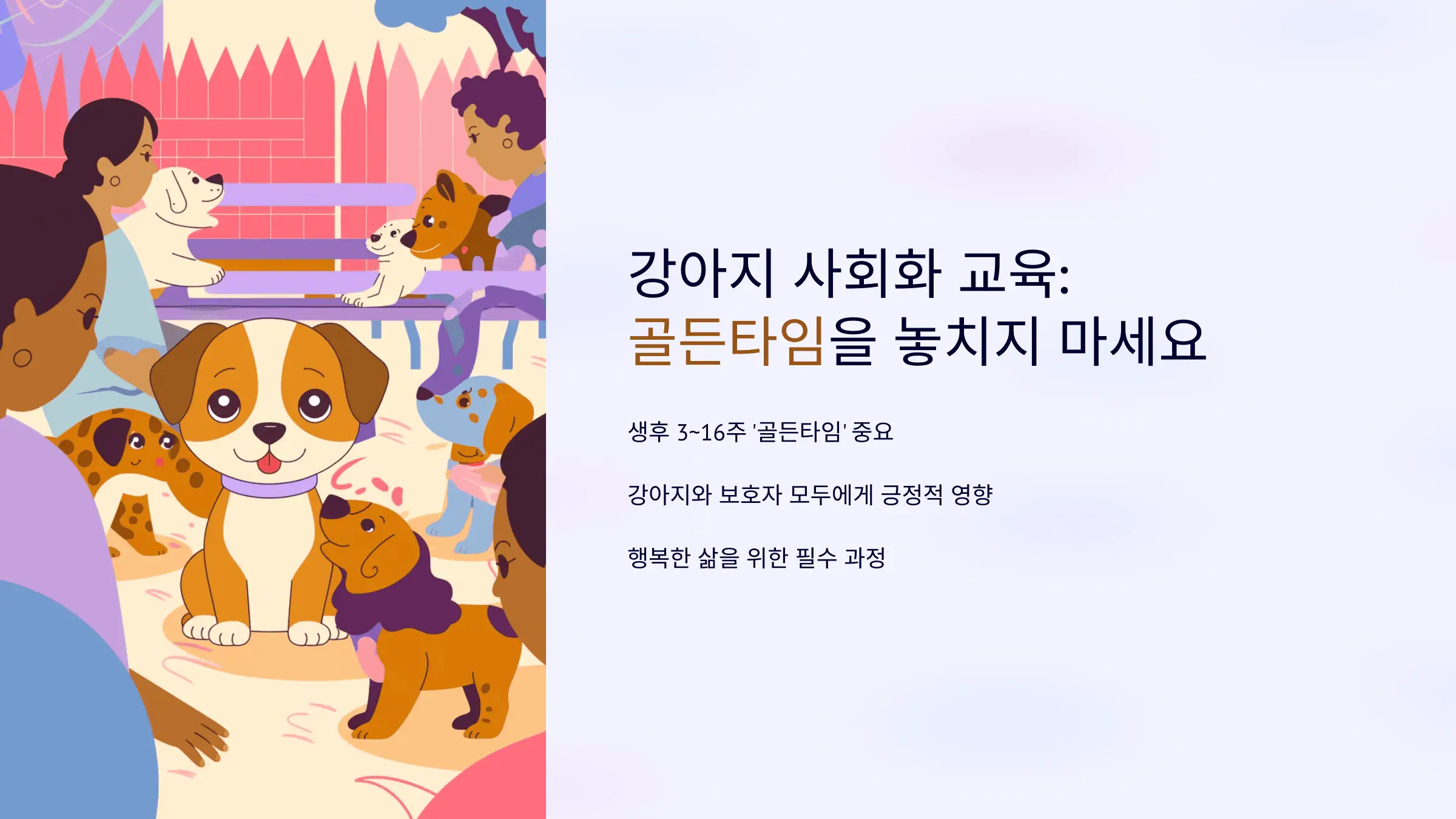 강아지 사회화 교육, 골든타임을 놓치지 마세요