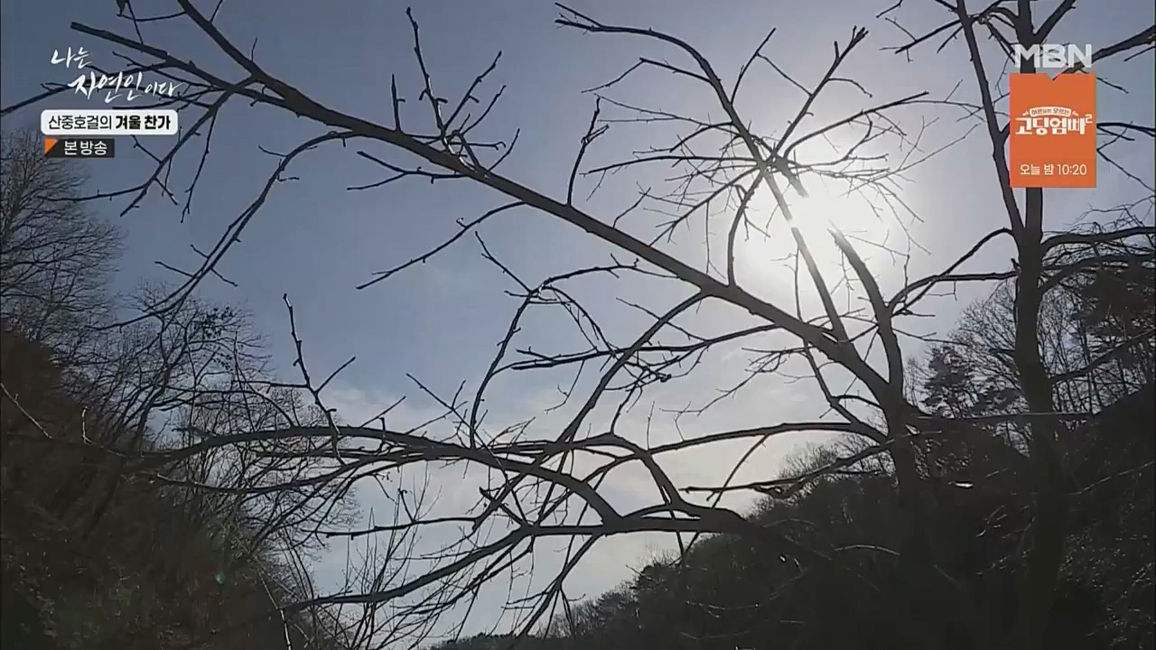 나는 자연인이다.E533.221222p.WANNA.mp4_20221222_194225.522.jpg