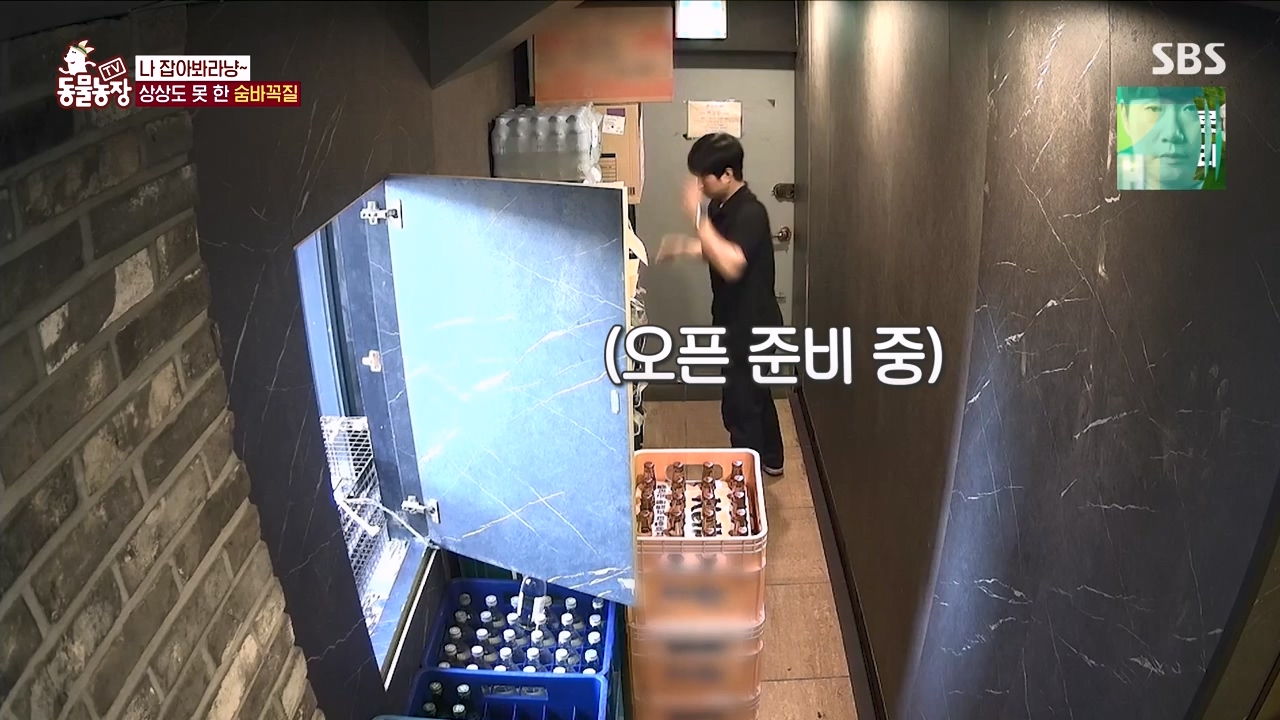 TV 동물농장.E1146.231120p-NEXT.mp4_20231119_175254.623.jpg