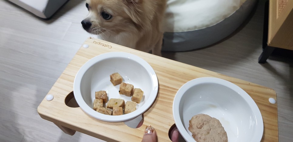 [강아지간식]허닭x핏펫몰 꼬꼬가슴살 맛있는 냄새로 17