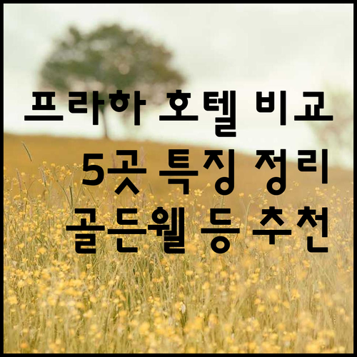 프라하 호텔 5곳 특징 비교 골든 웰