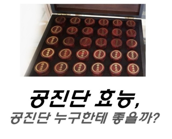  공진단 효능