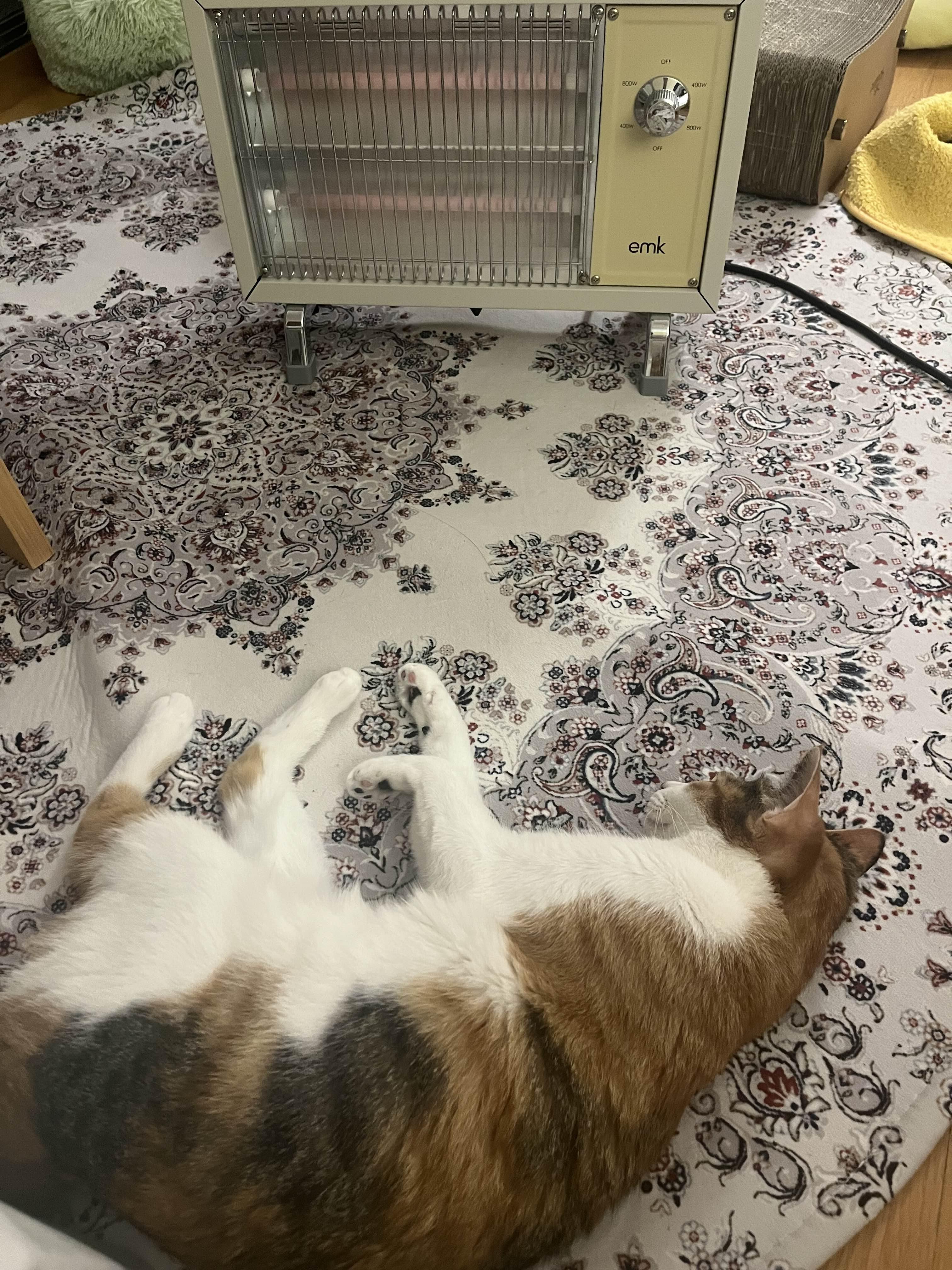  수족냉증이 있다면 고양이 난로 emk 난로 추천