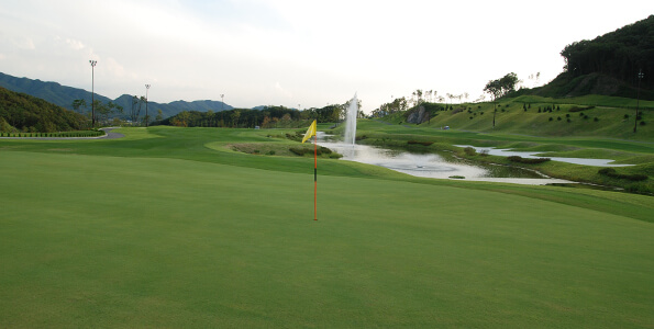 대한 코스 9 Hole