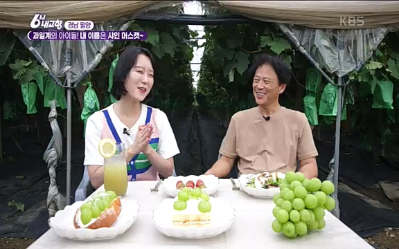 [7612회] 6시 내고향 - KBS7612회] 6시 내고향.ts_20220912_174123.482.jpg