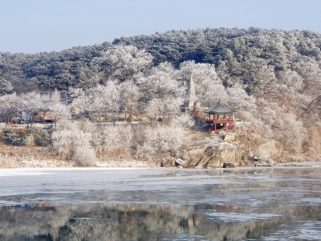  여주 신륵사 상고대 사진 포인트는 바로 여기~!