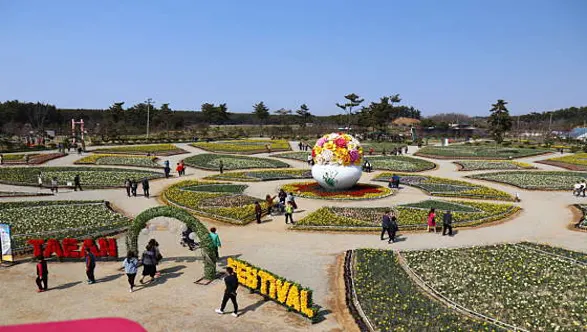 네이처월드