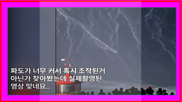  쓰나미급 파도 세계 최고 서핑여제 신기록 달성