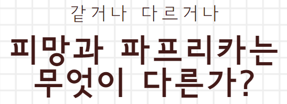  피망과 파프리카의 차이점