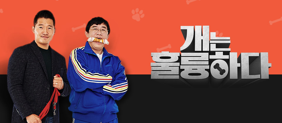  개는 훌륭하다 재방송 다시보기 · 공식영상 보러가기 회차정보 방송시간 시청률 출연진 · 108회 109회 110회 111회 112회 #같은예능 #왓챠 #웨이브 #강형욱 #이경규 #장도연