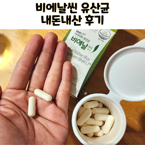  다이어트 유산균 비에날씬 bnr17 내돈내산 후기 섭취방법 부작용
