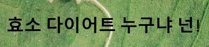  신진대사를 돕는 효소 다이어트 정말 효과가 있을까?