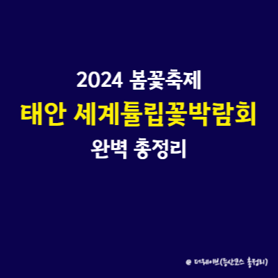 2024 봄꽃축제 태안 세계튤립꽃박람회 완벽 총정리