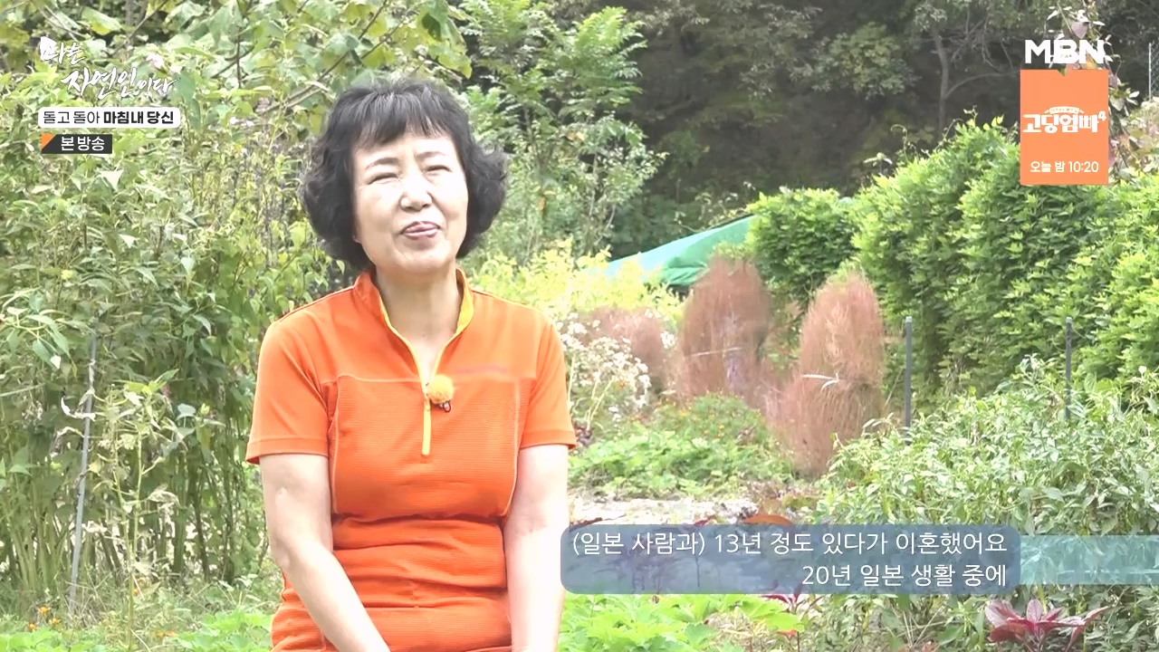 나는 자연인이다.E577.231026p-NEXT.mp4_20231026_200356.010.jpg