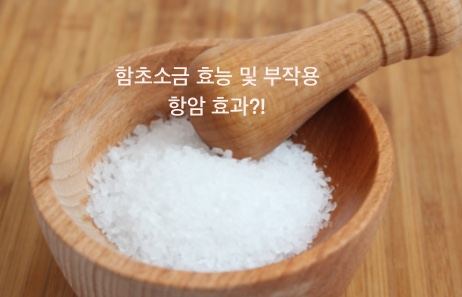  함초 소금의 효능 및 부작용, 항암 효과?!