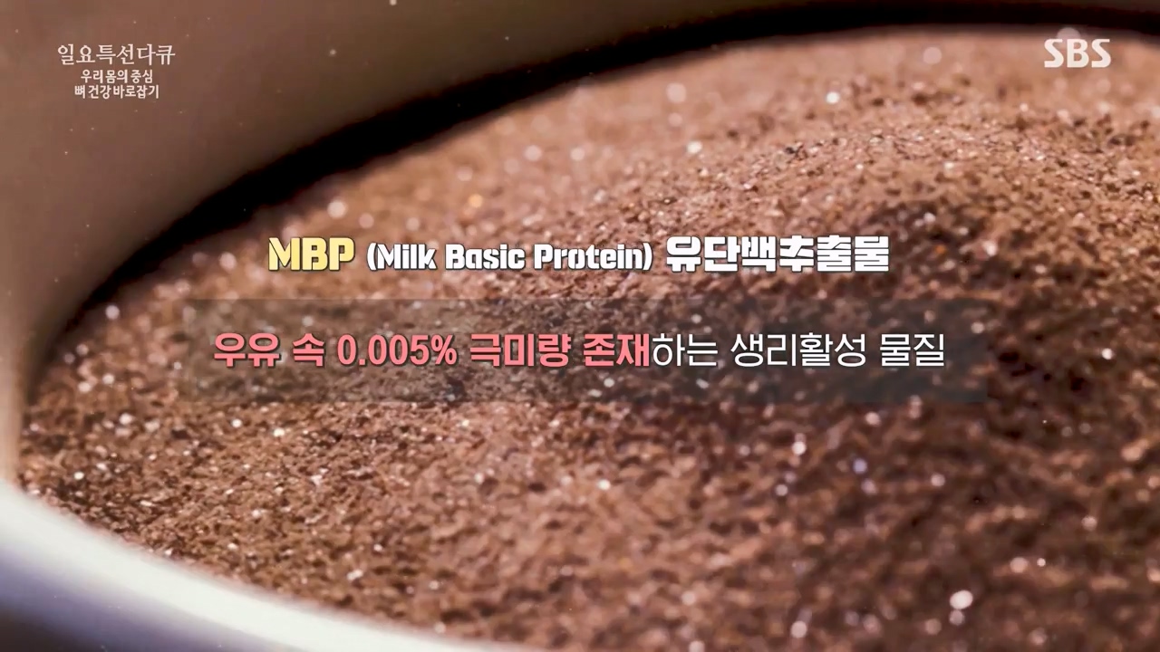 일요특선 다큐멘터리.E339.240205p-NEXT.mp4_20240206_204623.413.jpg