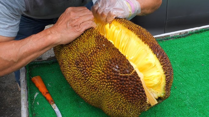 잭프루트 (Jackfruit)