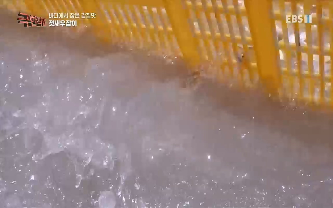 TV - 교육의 중심 EBS바다에서 찾은 감칠맛 새우젓과 다시마.mp4_20220717_175003.699.jpg