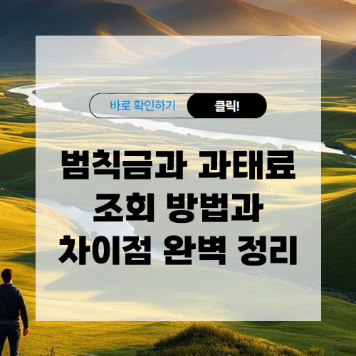 범칙금과 과태료 조회 방법과 차이점 알아보기