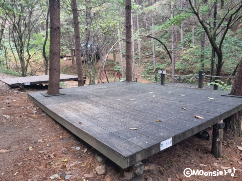 하늘그린캠프, 숲속의 11