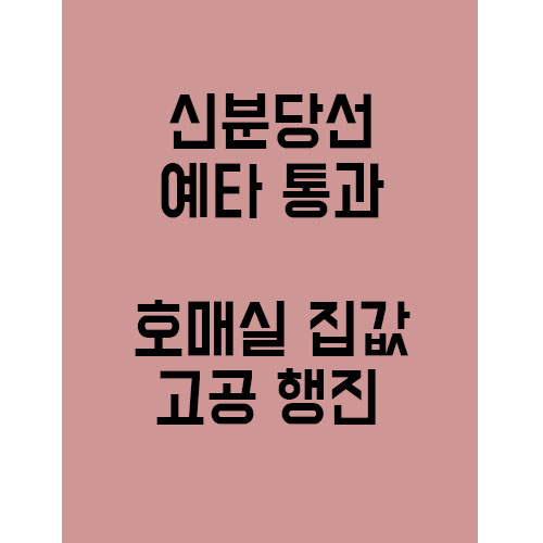  신분당선 예타 통과.. 호매실 집값 고공행진 중!