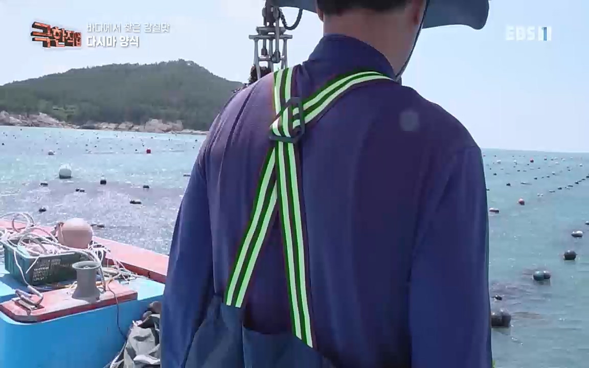 TV - 교육의 중심 EBS바다에서 찾은 감칠맛 새우젓과 다시마.mp4_20220717_175012.226.jpg