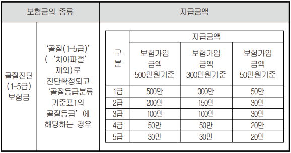 꼬리뼈 골절 시 보험금 지급 예시