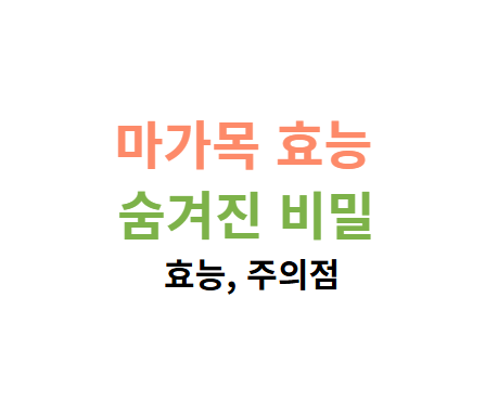 마가목 효능