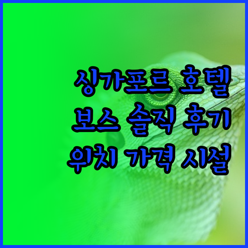 싱가포르 호텔 보스 솔직 후기 위치,