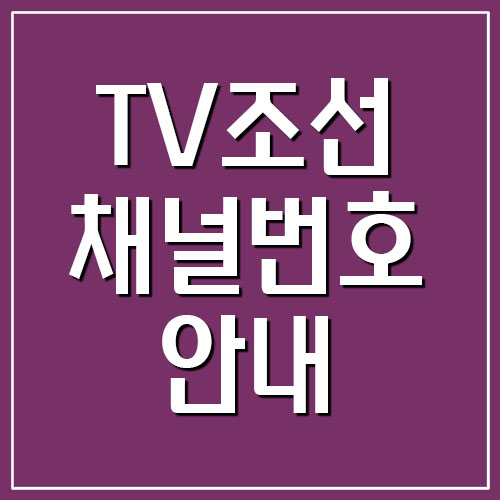  TV조선2 채널번호 정보