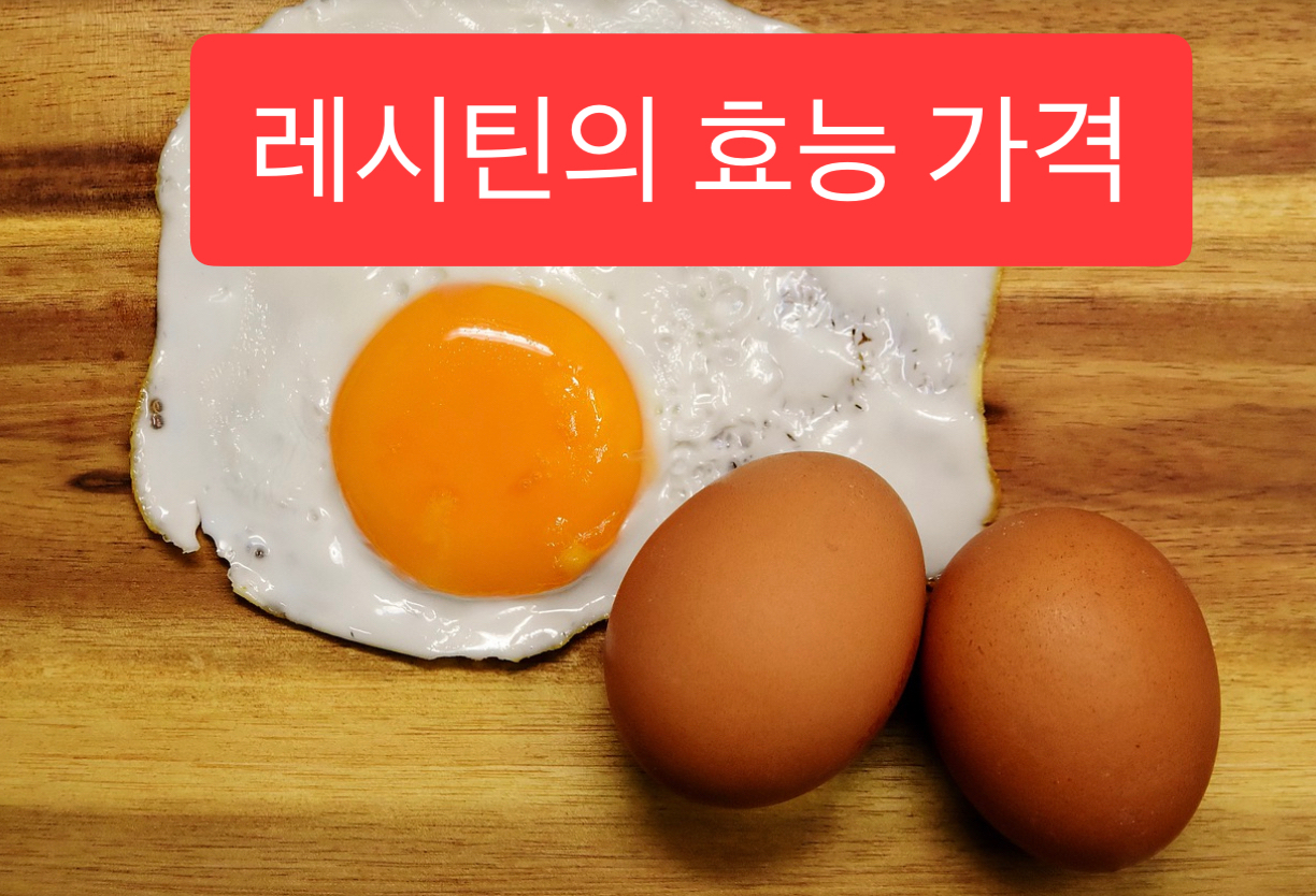  레시틴의 효능 가격